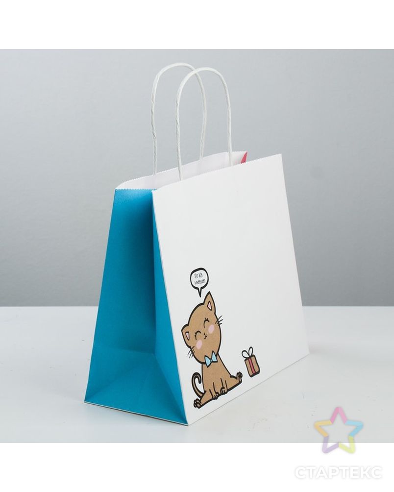 Пакет подарочный крафтовый «Котик», 25 × 22 × 12 см арт. СМЛ-101083-1-СМЛ0003823497 3