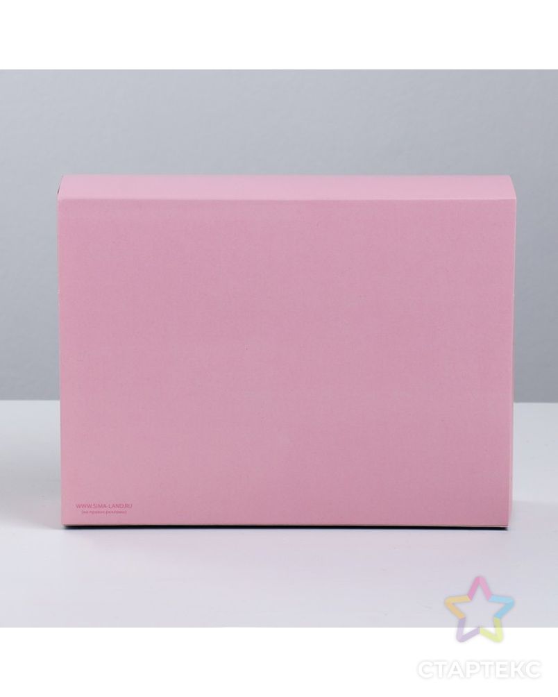 Коробка для сладостей «Маленькие радости», 20 × 15 × 5 см арт. СМЛ-112848-1-СМЛ0003827268 4