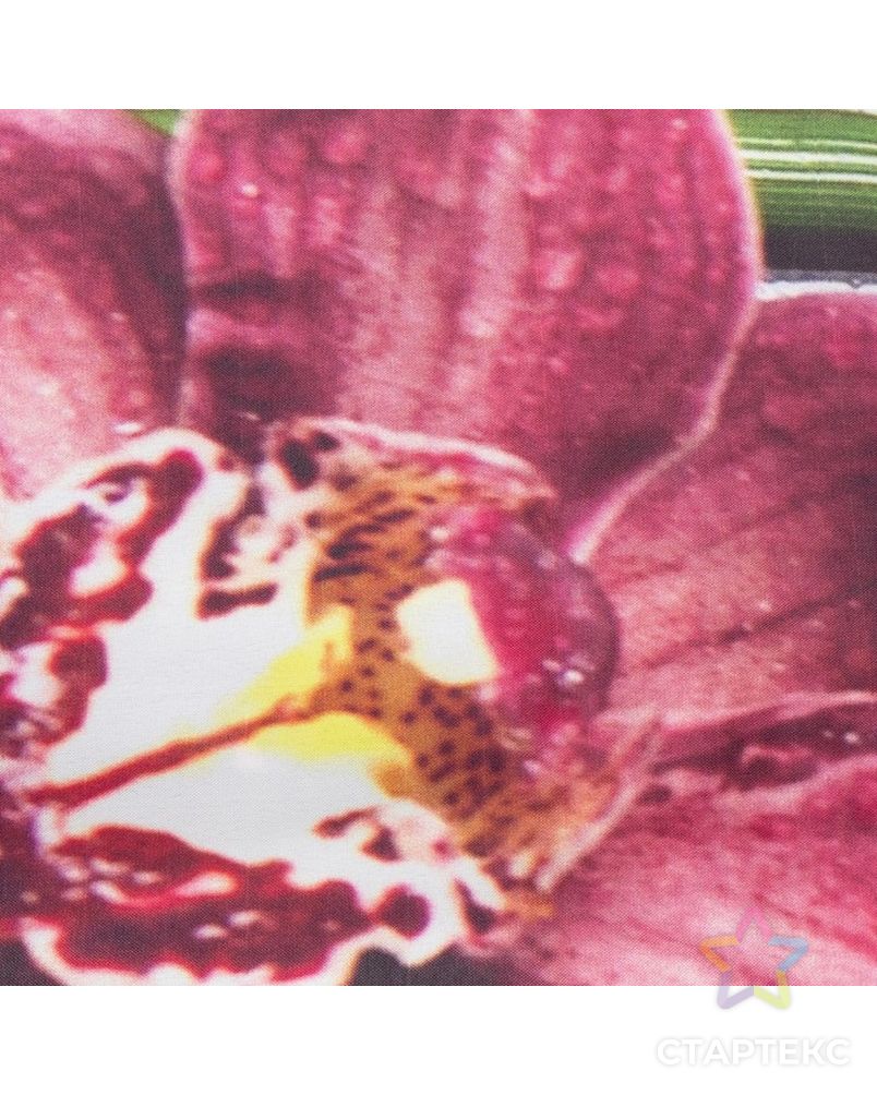 Комплект штор Орхидея на стекле штора (147х267 см), тюль (294х160 см), габардин, пэ 100% арт. СМЛ-14768-1-СМЛ3831771 2