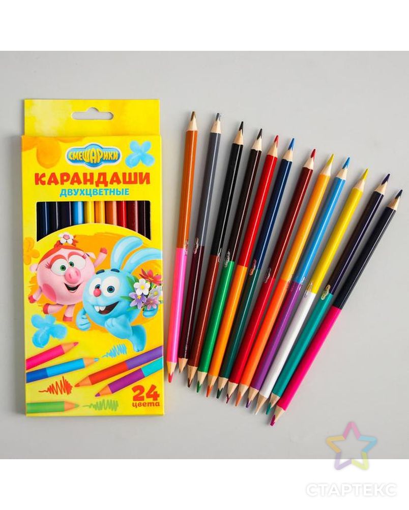 Двухсторонние цветные карандаши, 24 цвета, «Смешарики», 12 штук арт. СМЛ-218082-1-СМЛ0003851260 1