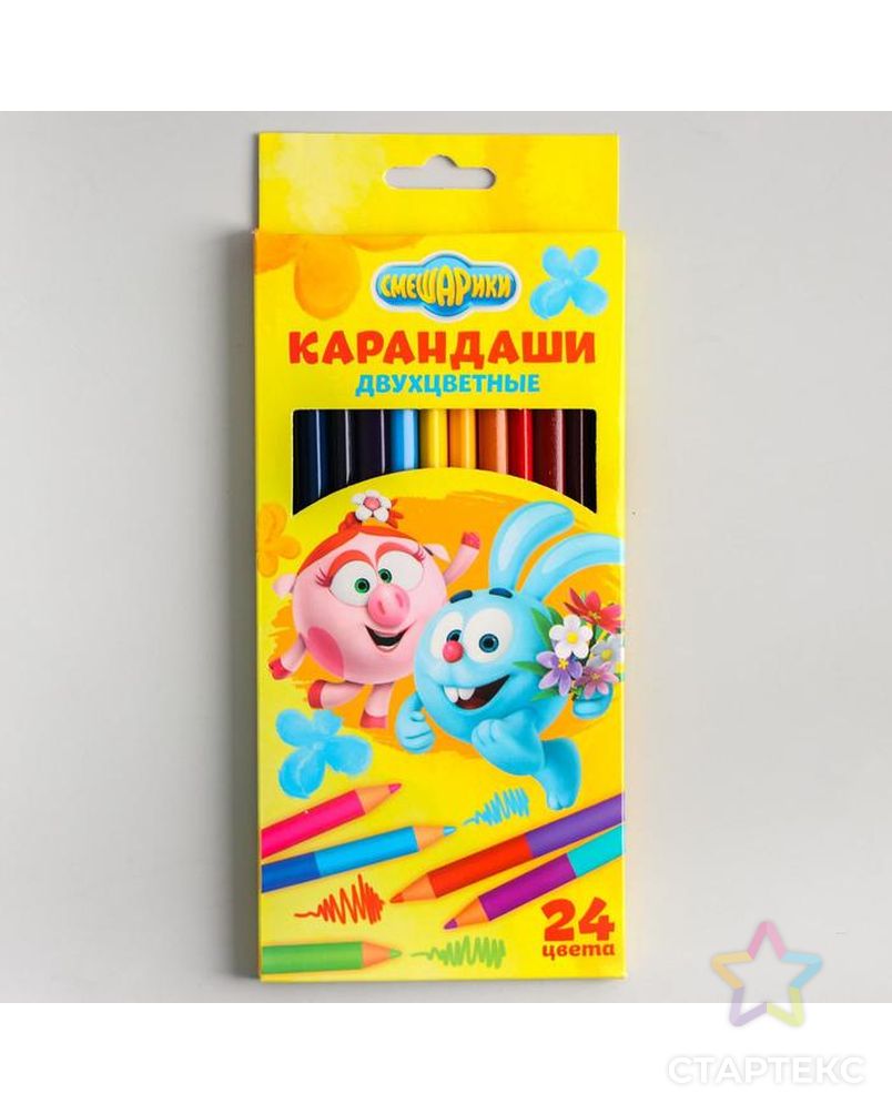 Двухсторонние цветные карандаши, 24 цвета, «Смешарики», 12 штук арт. СМЛ-218082-1-СМЛ0003851260