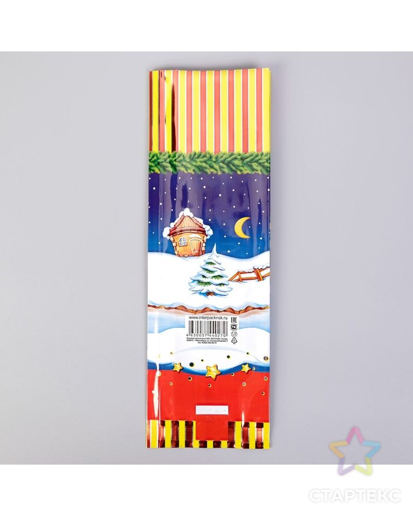 Пакет подарочный "Медведи на коньках", 10 х 30 см, 60 мкм арт. СМЛ-59919-1-СМЛ0003856228 2