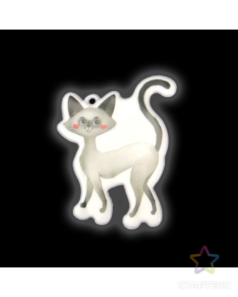 Светоотражающий элемент «Кошка», 6 × 8 см, цвет серый арт. СМЛ-15413-1-СМЛ3878754