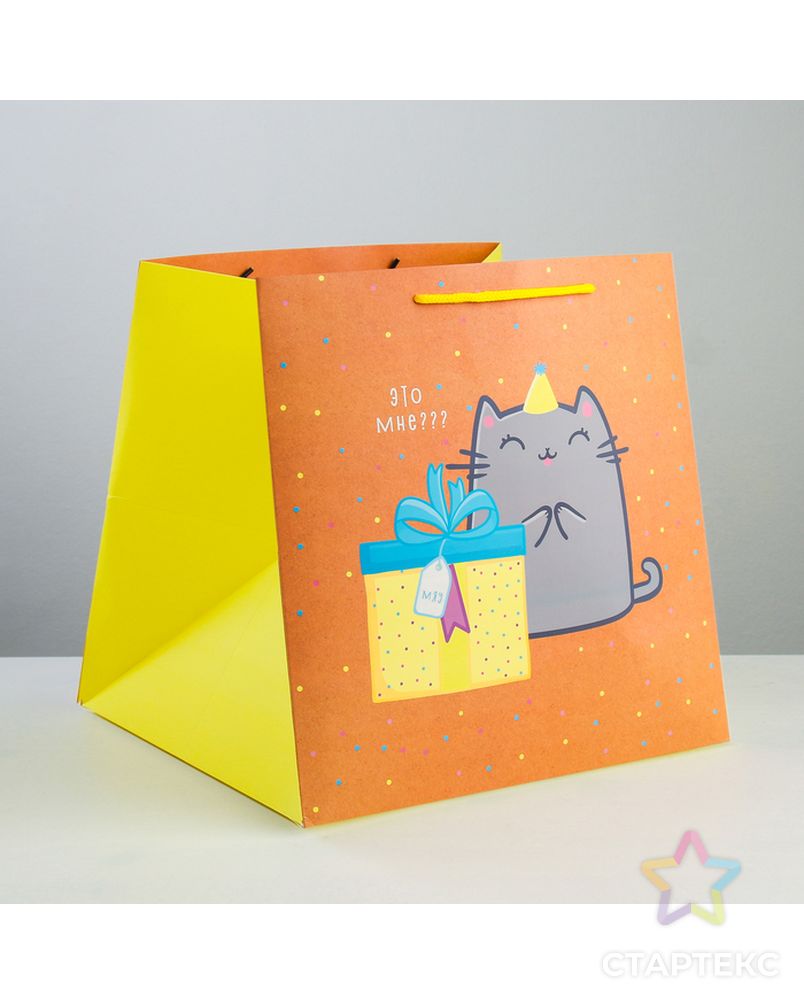 Пакет квадратный «Котик и тортик», 30 × 30 × 30 см арт. СМЛ-114341-1-СМЛ0003912524 1