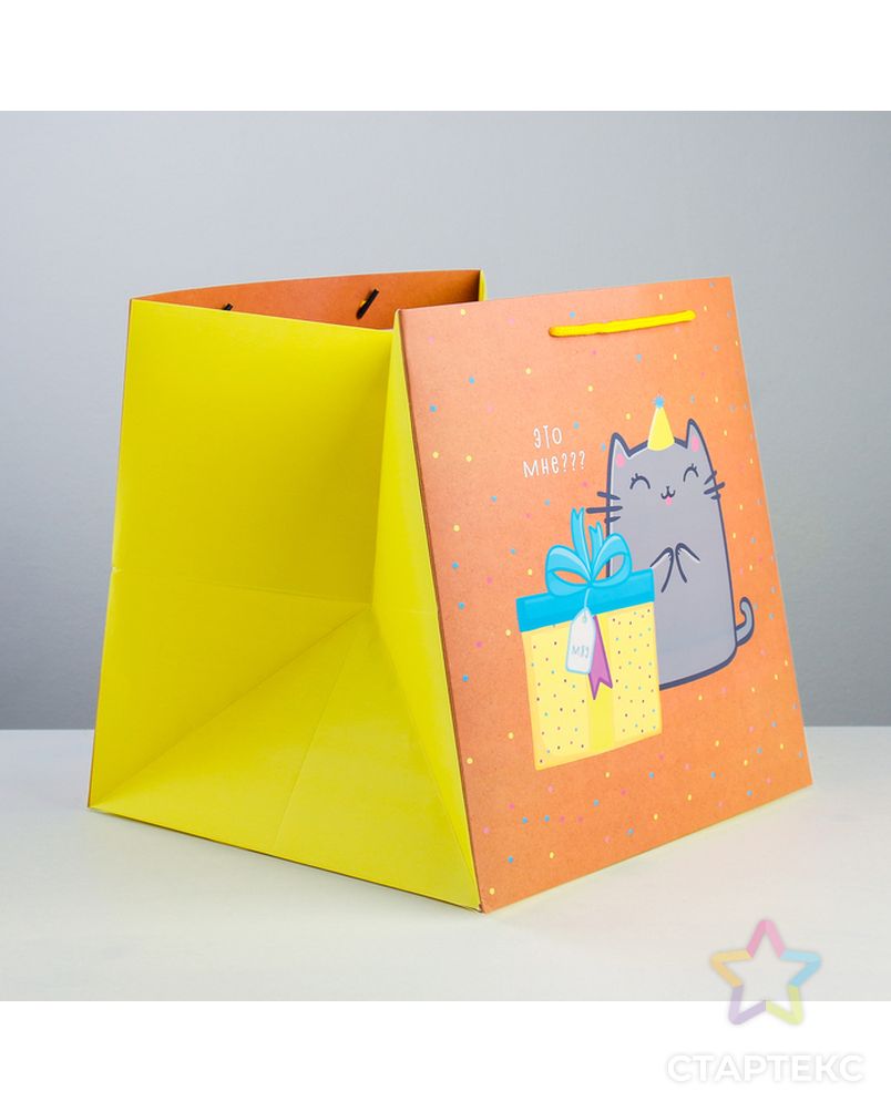Пакет квадратный «Котик и тортик», 30 × 30 × 30 см арт. СМЛ-114341-1-СМЛ0003912524 2