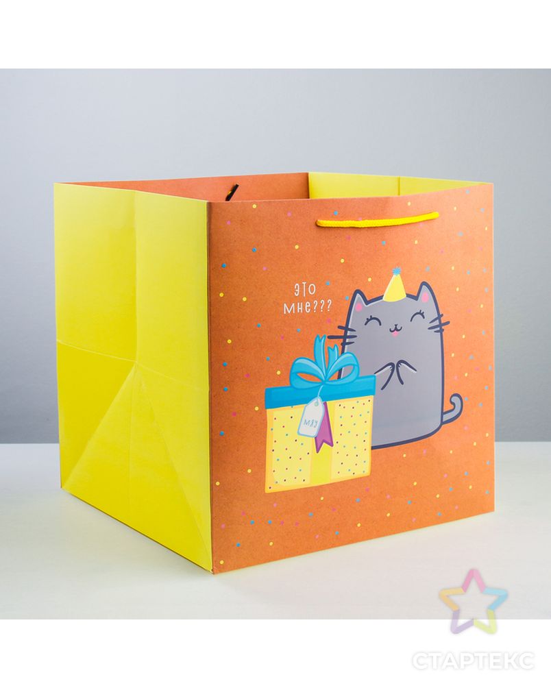 Пакет квадратный «Котик и тортик», 30 × 30 × 30 см арт. СМЛ-114341-1-СМЛ0003912524 3