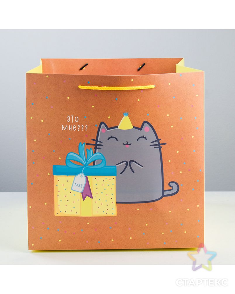 Пакет квадратный «Котик и тортик», 30 × 30 × 30 см арт. СМЛ-114341-1-СМЛ0003912524 4