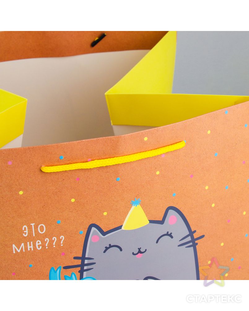 Пакет квадратный «Котик и тортик», 30 × 30 × 30 см арт. СМЛ-114341-1-СМЛ0003912524 5