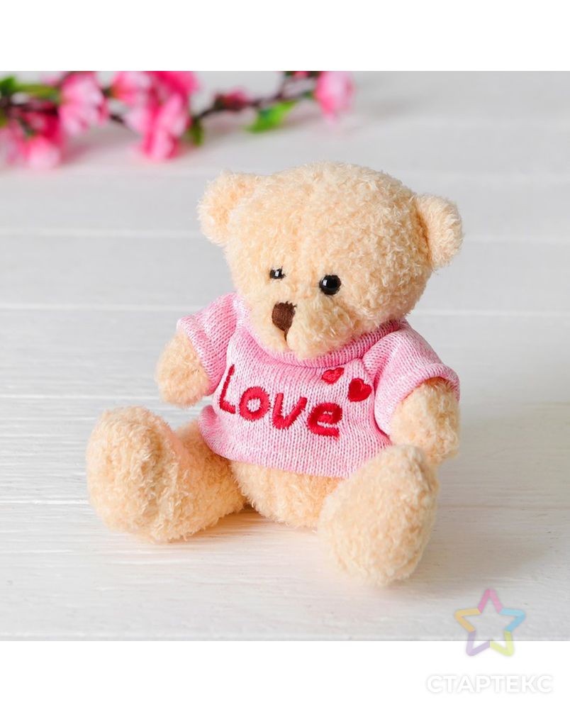 Мягкая игрушка «Медведь», 20 см, кофточка с надписью, цвета МИКС арт. СМЛ-99553-2-СМЛ0003924967