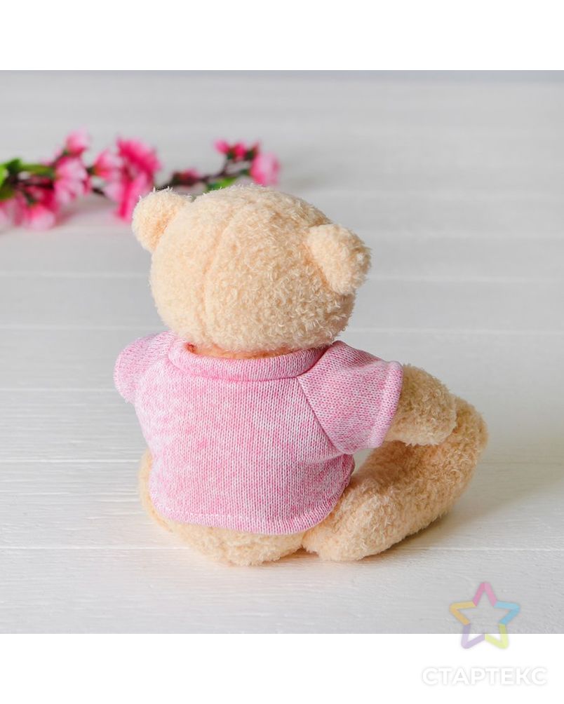 Мягкая игрушка «Медведь», 20 см, кофточка с надписью, цвета МИКС арт. СМЛ-99553-1-СМЛ0003924970 2
