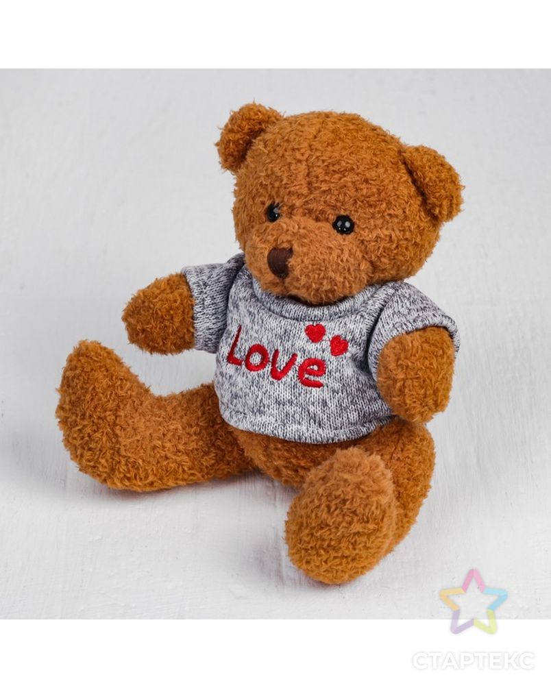 Мягкая игрушка «Медведь», 20 см, кофточка с надписью, цвета МИКС арт. СМЛ-99553-1-СМЛ0003924970 4
