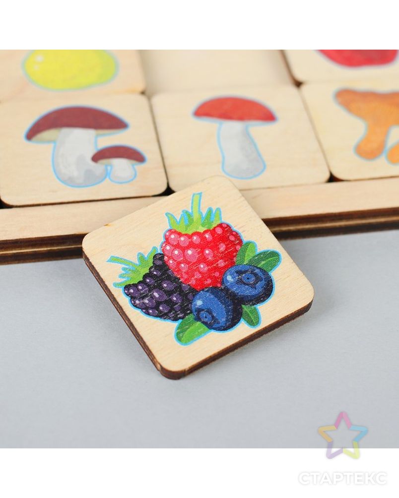 Игра развивающая деревянная «Овощи, фрукты, ягоды, грибы» арт. СМЛ-61403-1-СМЛ0003949121 3