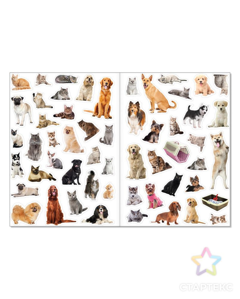 Наклейки многоразовые «Кошки и собаки», формат А4 арт. СМЛ-205152-1-СМЛ0003950985 3