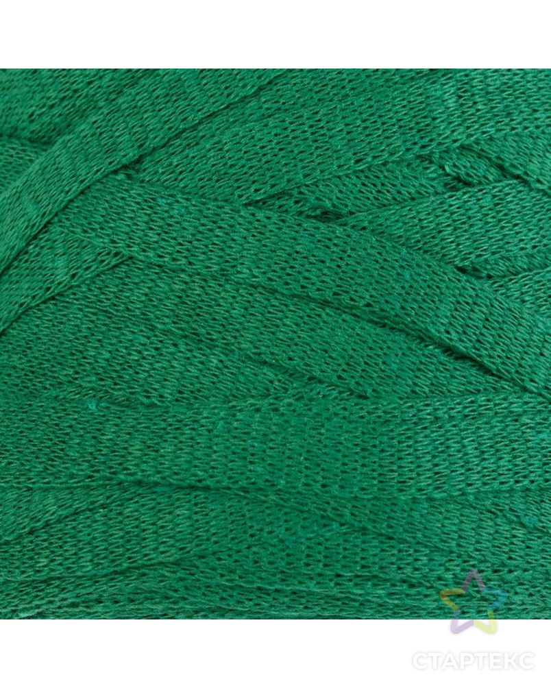 Пряжа-шнур "Ribbon" 40% полиэстер, 60% хлопок 125м/250гр (760 голубой) арт. СМЛ-23292-2-СМЛ3953231 1