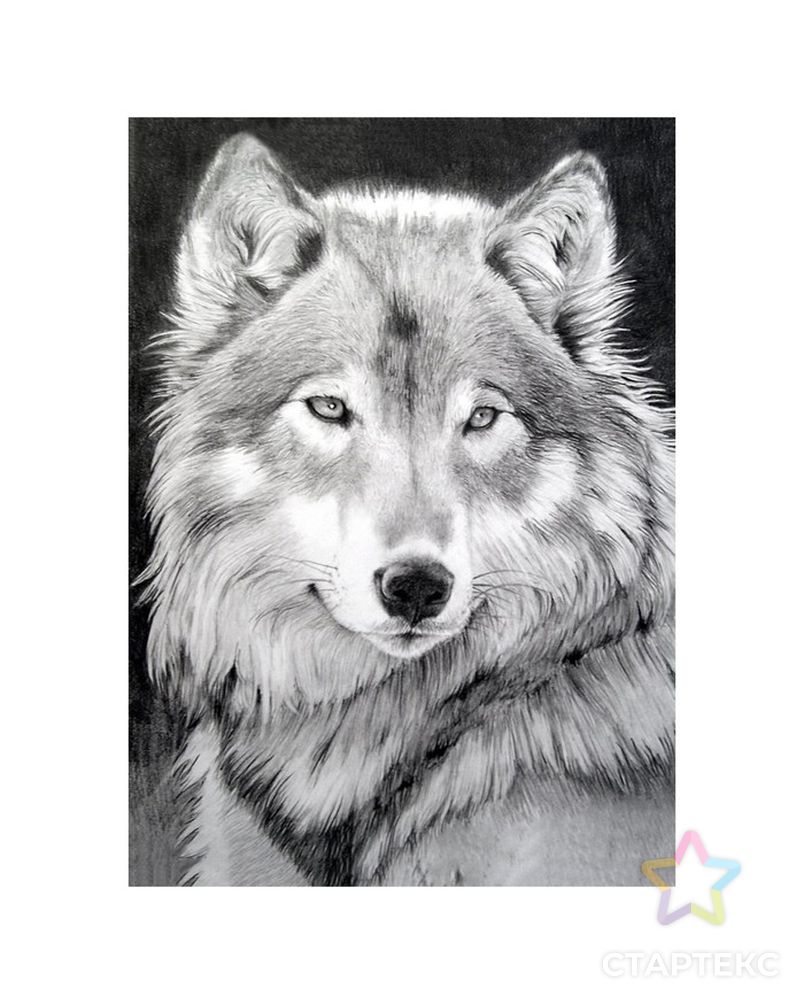 Картина стразами "Серый волк" 27 x 38 см арт. СМЛ-26751-1-СМЛ3995680 1
