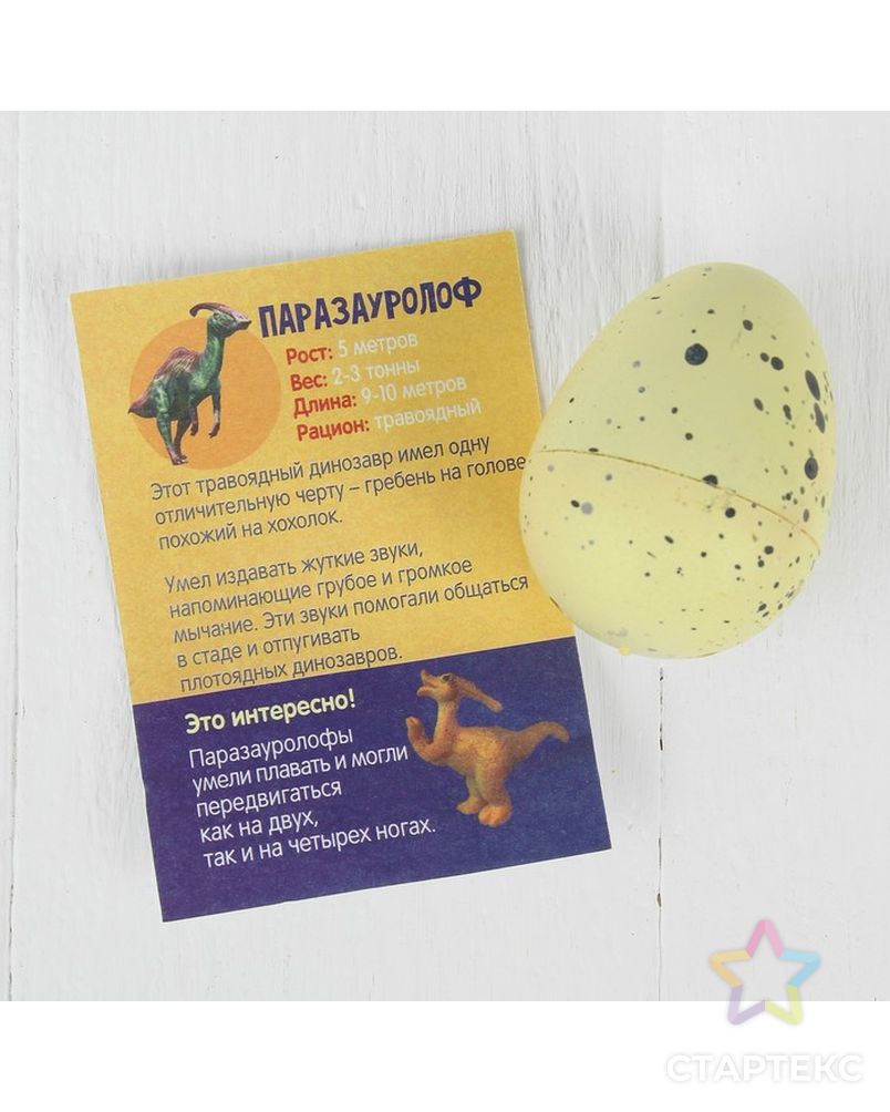 Растущие животные в яйце «Динозавр» арт. СМЛ-65962-1-СМЛ0004046736 3