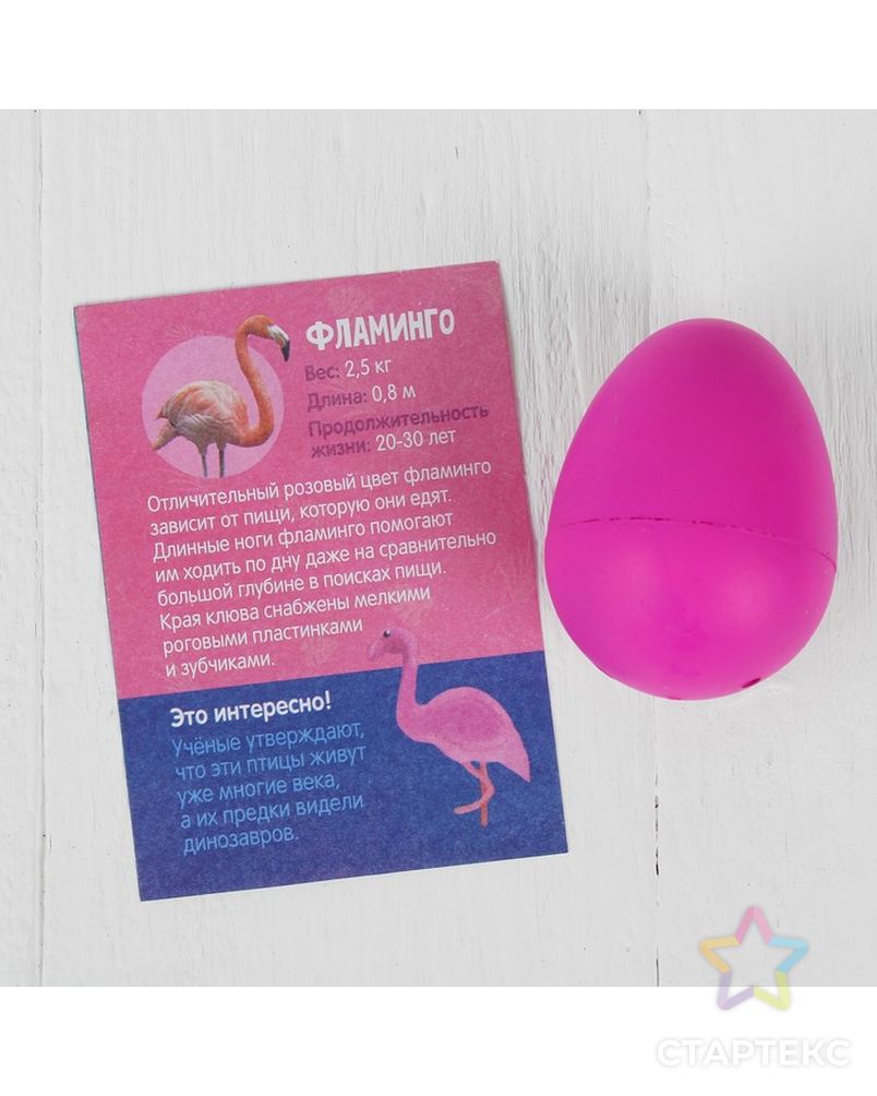 Растущие животные в яйце «Фламинго» арт. СМЛ-105143-1-СМЛ0004046738 3