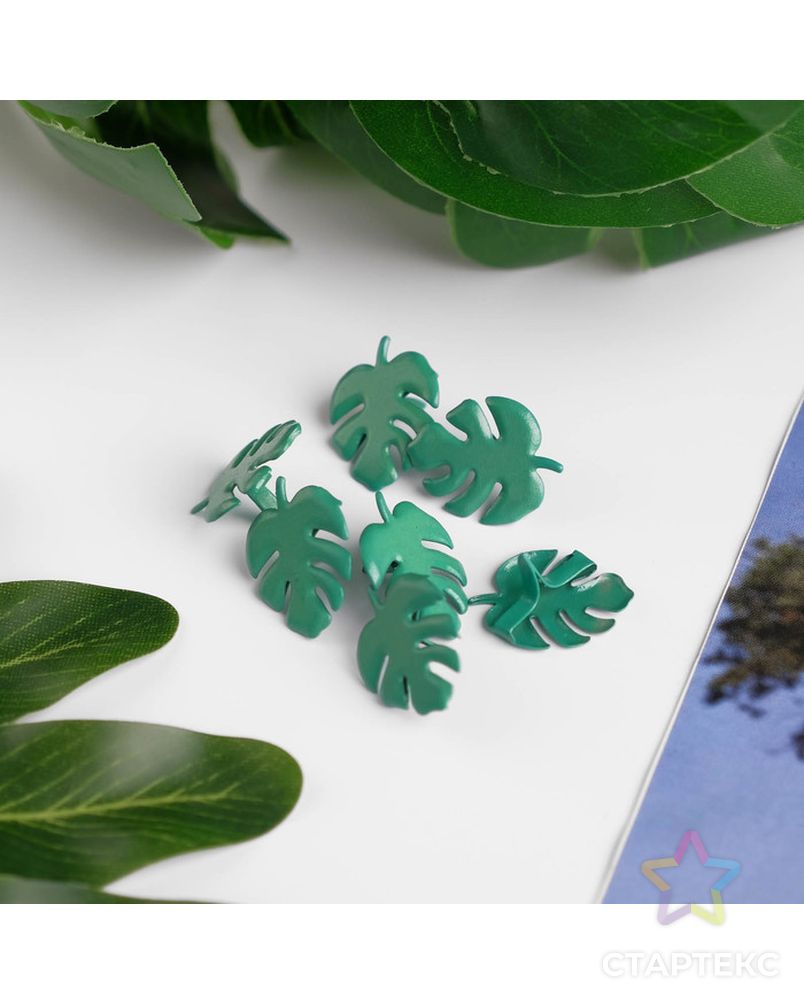 Брадсы для скрапбукинга "Пальмовые листья" набор 20 шт 0,8х1,7х1,4 см арт. СМЛ-18553-1-СМЛ4053713 2