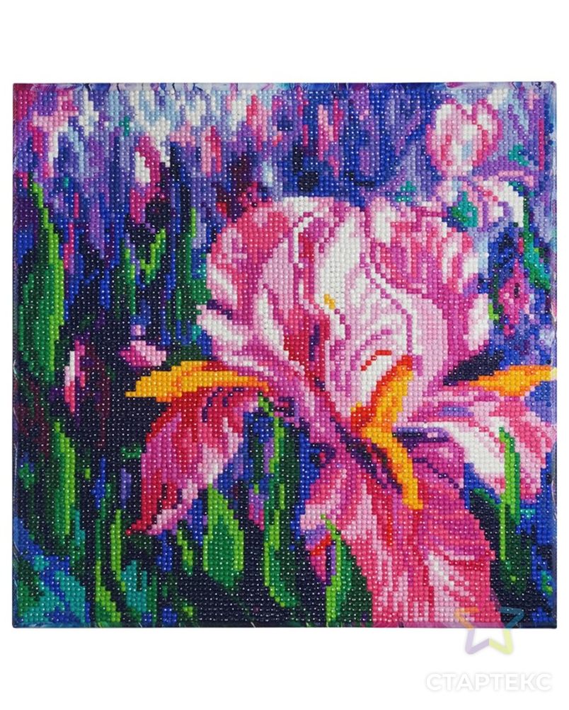 алмазная вышивка светофор. как из алмазной сделать цветок. алмазная мозайка белоснежка нимфея озёрная. /, "розы". алмазная мозаика «ирисы антонио».