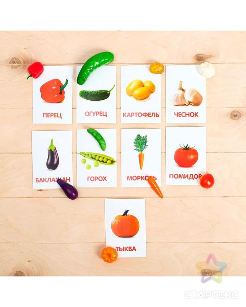 Обучающий набор по методике Г. Домана «Овощи»: 9 карточек + 9 овощей, счётный материал арт. СМЛ-67487-1-СМЛ0004096684 2