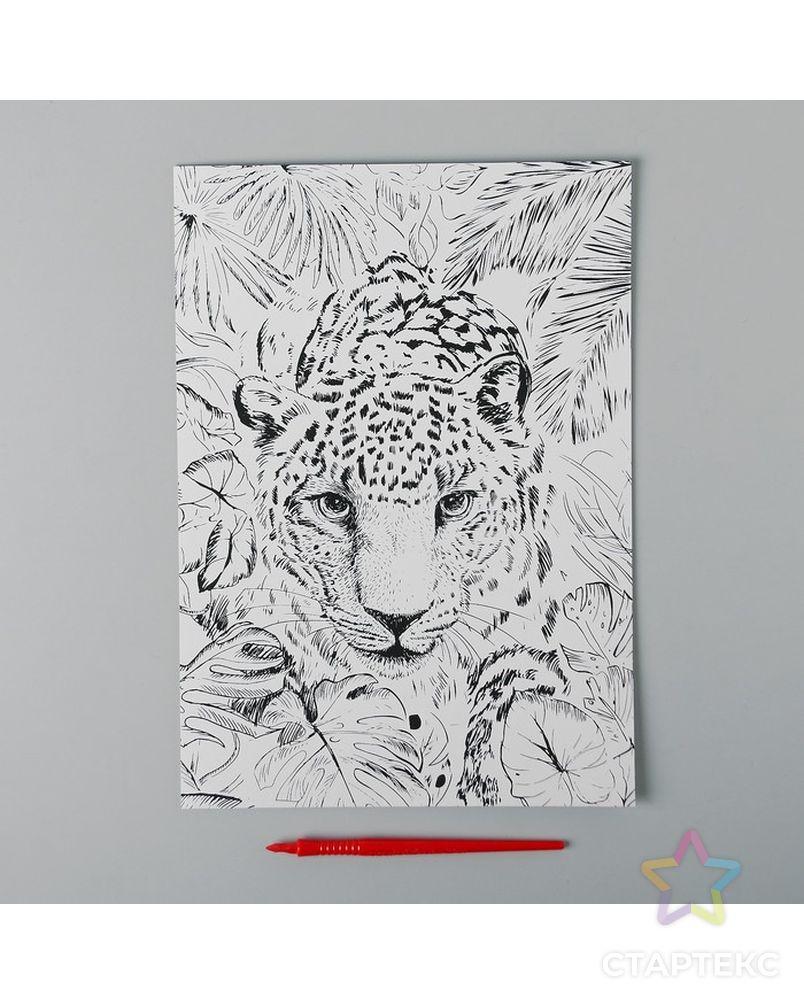 Гравюра "Леопард в джунглях" A4, с металлическим золотым эффектом арт. СМЛ-19457-1-СМЛ4110945 2
