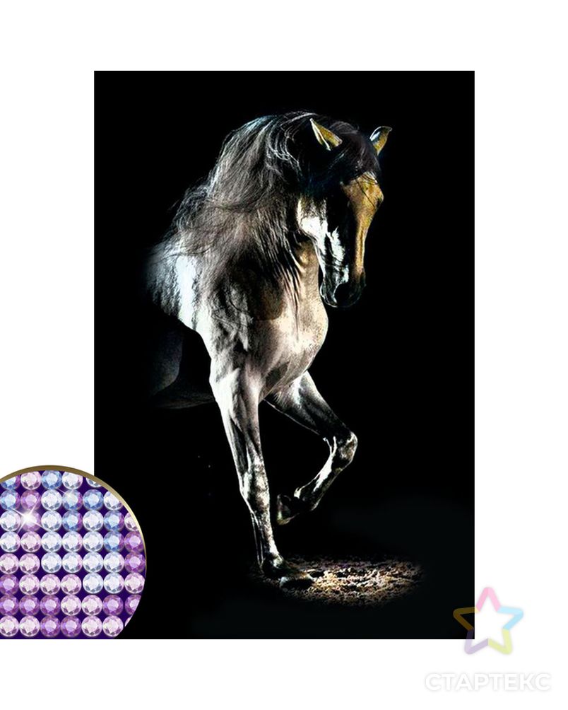 Алмазная вышивка с частичным заполнением «Грациозная лошадь» 20 х 30 см на холсте арт. СМЛ-37622-1-СМЛ0004176751 1
