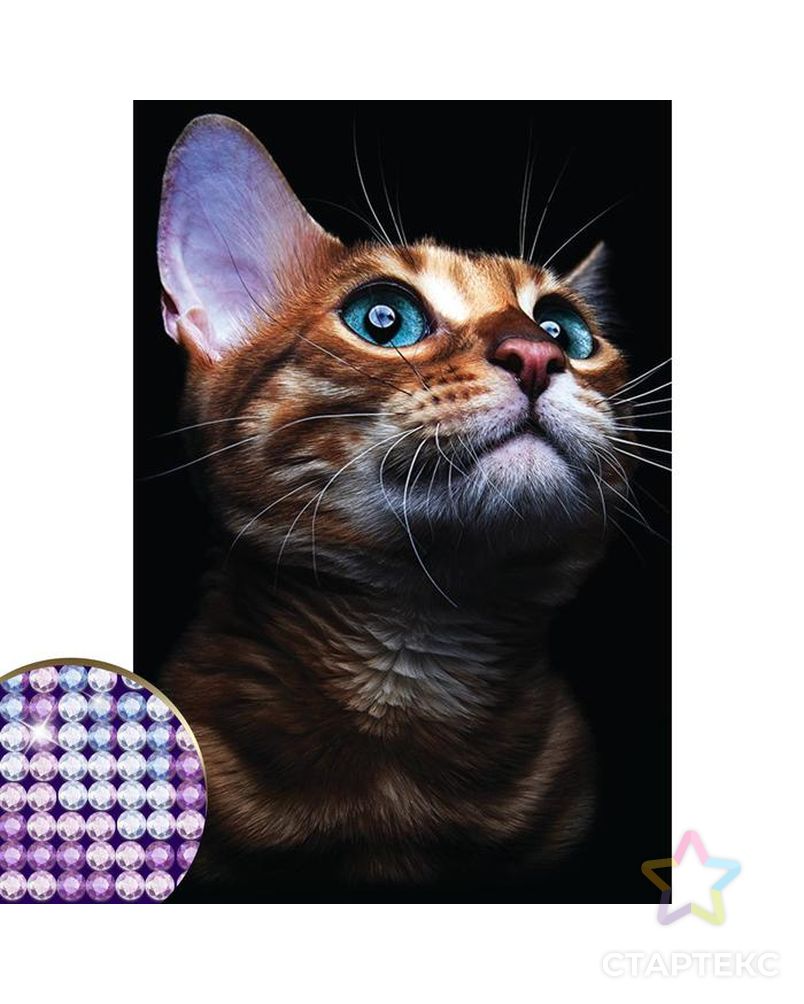 Алмазная вышивка с частичным заполнением «Взгляд кошки» 20 х 30 см на холсте арт. СМЛ-37624-1-СМЛ0004176754 1