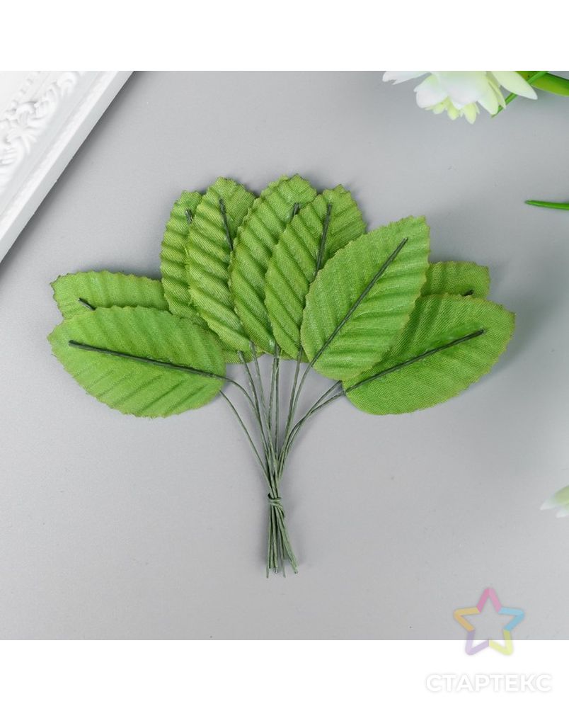 Заказать Декор для творчества "Листья весенние" (1 набор=1 букет) в букете 10 шт 11х3 см арт. СМЛ-28575-1-СМЛ4187477 в Новосибирске