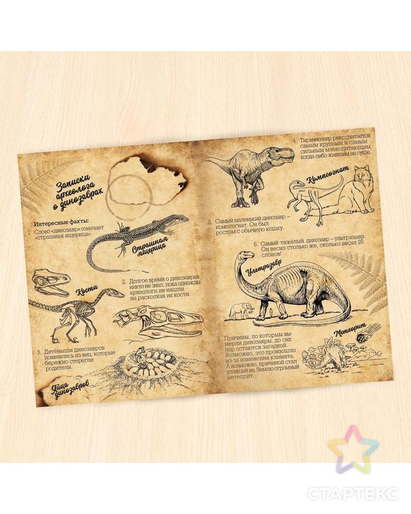 Обучающий набор «Эра динозавров», животные и плакат арт. СМЛ-70736-1-СМЛ0004242705 3