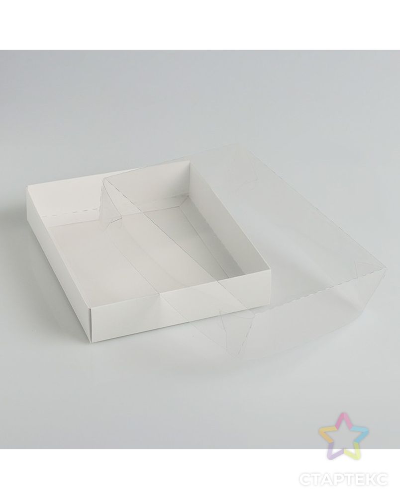 Коробочка для печенья с прозрачной крышкой 16 х 13 х 3 см арт. СМЛ-66585-1-СМЛ0004252263 2