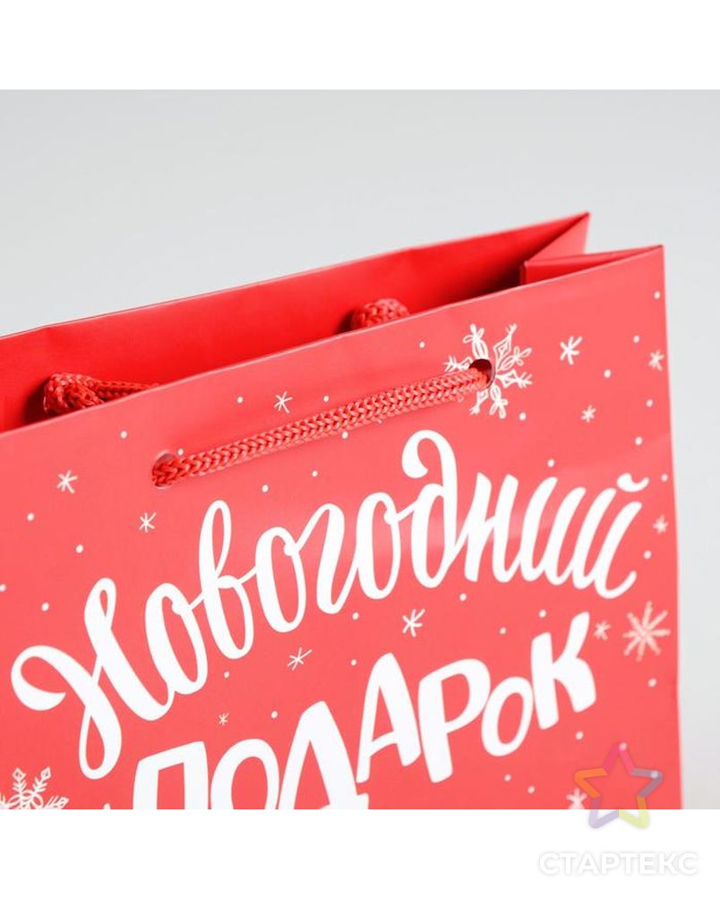 Пакет ламинированный горизонтальный «Новогодний подарок», M 30 × 26 × 9 см арт. СМЛ-98668-2-СМЛ0004262325 4