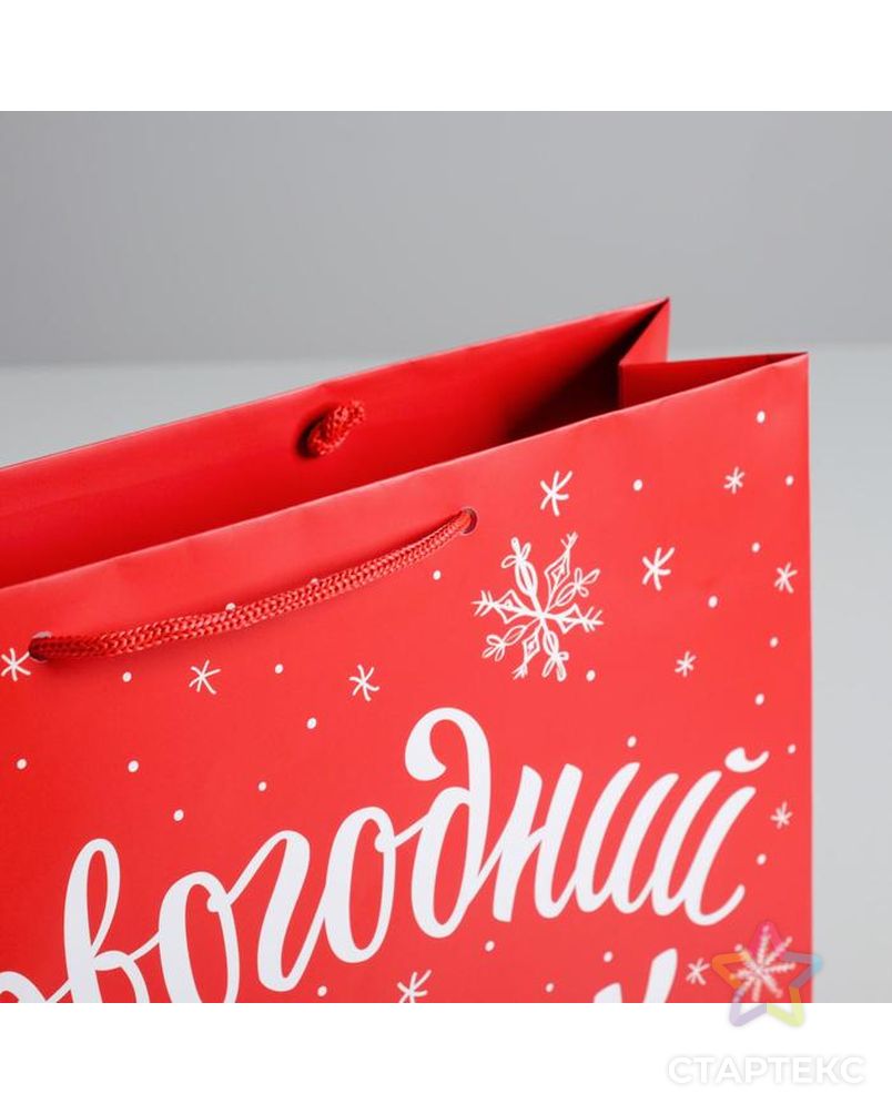 Пакет ламинированный горизонтальный «Новогодний подарок», M 30 × 26 × 9 см арт. СМЛ-98668-1-СМЛ0004262328 4