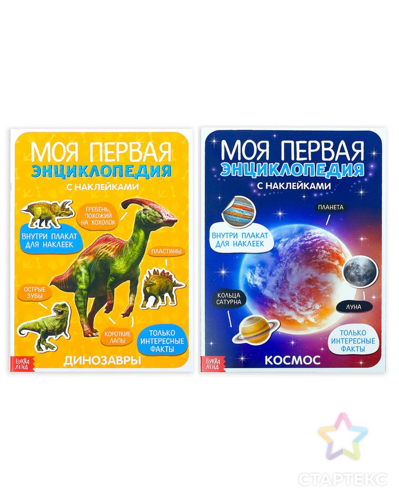 Наклейки «Энциклопедии о динозаврах и космосе», набор 2 шт. по 8 стр., формат А4 арт. СМЛ-205257-1-СМЛ0004279907 1