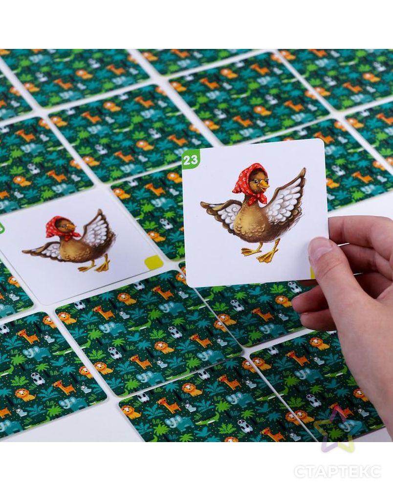 Настольная развивающая игра «Мемо для малышей. Животные», 50 карт арт. СМЛ-67863-1-СМЛ0004281975 5