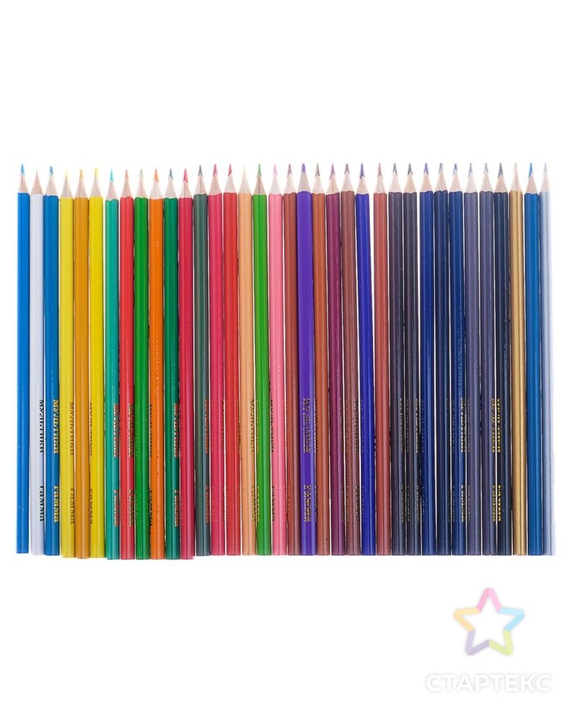 Карандаши 36 цветов «Гамма» «Мультики», стержень d=2.6 мм, трёхгранные арт. СМЛ-194866-1-СМЛ0004284398 3