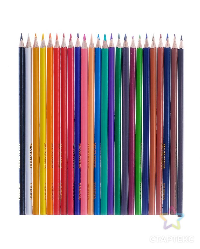 Карандаши 24 цвета «Гамма» «Мультики», стержень d=2.6 мм, трёхгранные арт. СМЛ-187828-1-СМЛ0004284399
