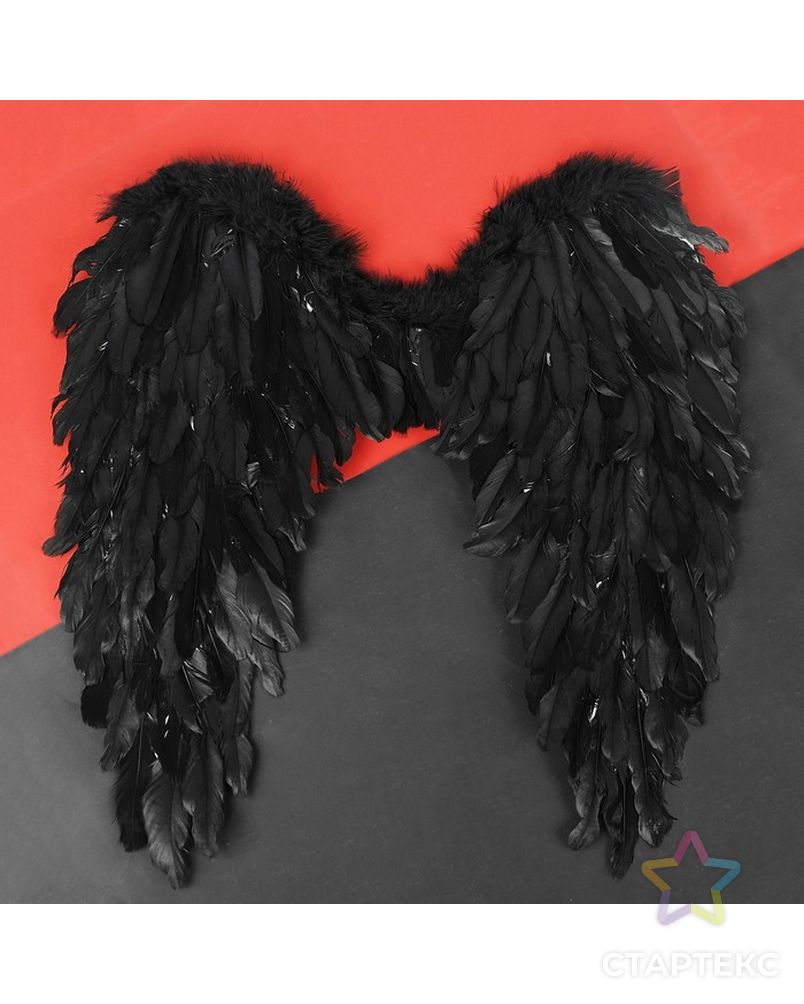 Крылья ангела, 60х57, цвет чёрный арт. СМЛ-70393-1-СМЛ0004300815 1