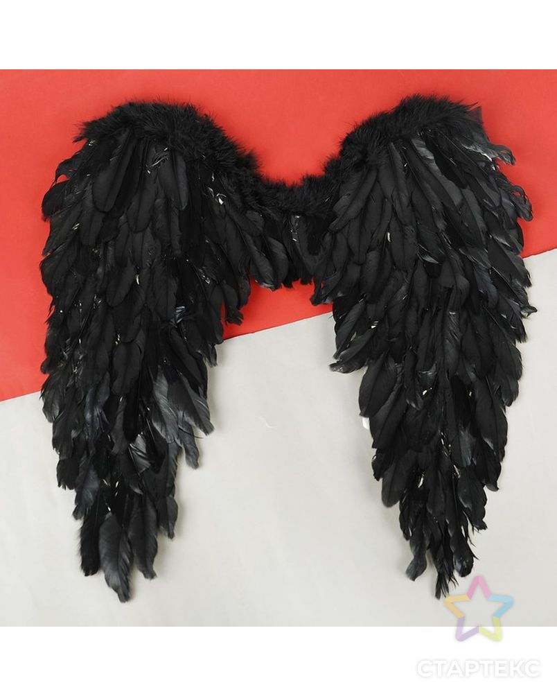 Крылья ангела, 60х57, цвет чёрный арт. СМЛ-70393-1-СМЛ0004300815 3
