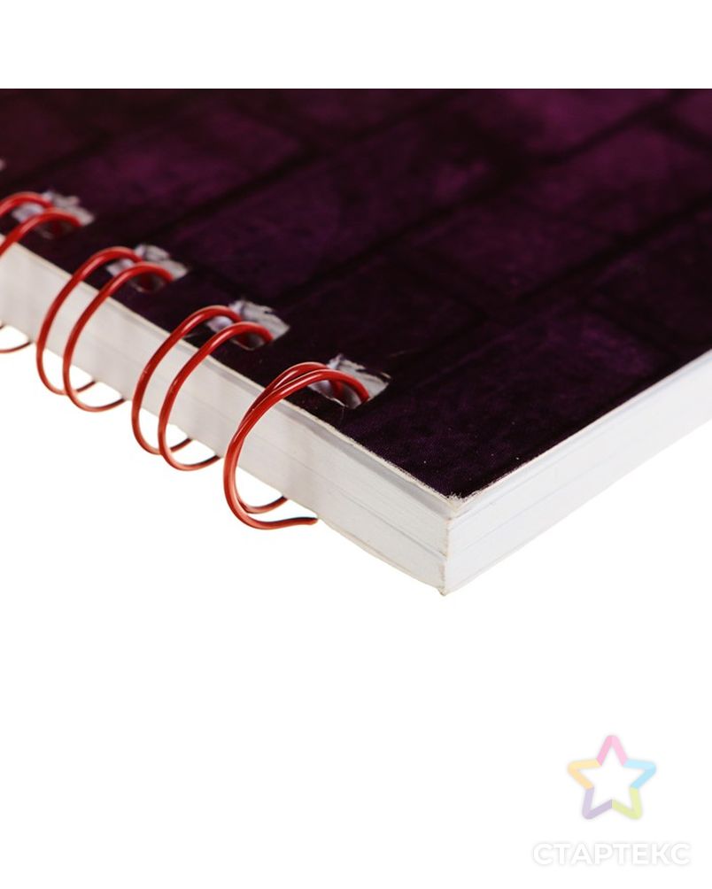 Альбом для рисования А4, 40 листов на гребне Calligrata «Смайл», обложка мелованный картон, блок 100 г/м² арт. СМЛ-189884-1-СМЛ0004353663