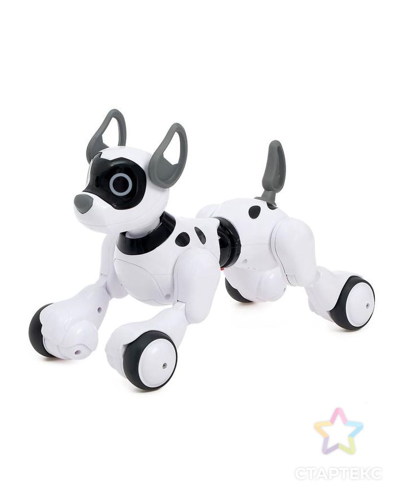 Робот-собака, радиоуправляемый «Koddy», световые и звуковые эффекты, русская озвучка арт. СМЛ-75945-1-СМЛ0004376315 4