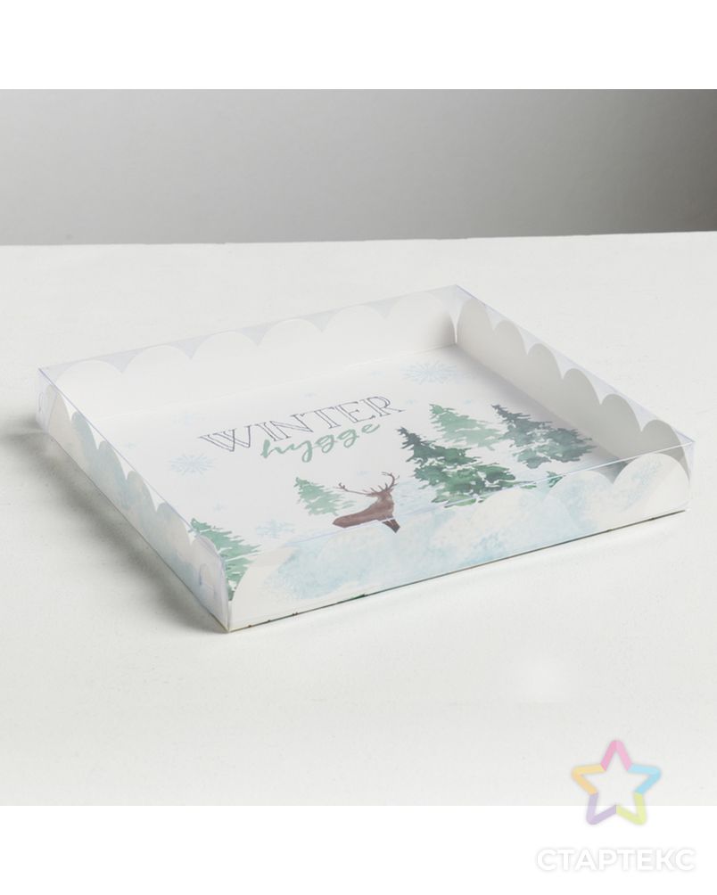 Коробка для кондитерских изделий с PVC крышкой Winter huge , 21 × 21 × 3 см арт. СМЛ-70584-1-СМЛ0004386226 2