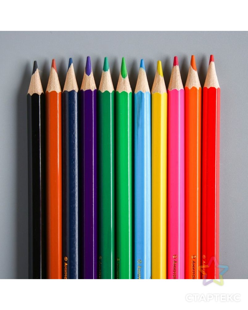 Цветные карандаши 6. Карандаши цветные. Карандаши 12 цветов. Качественные цветные карандаши. Рисование цветными карандашами.