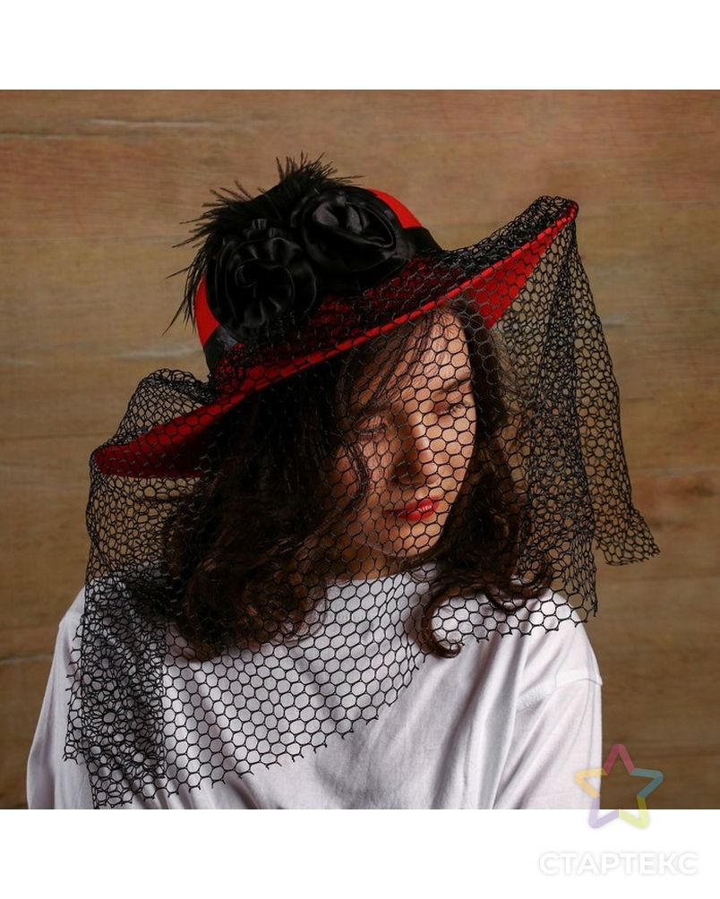 Карнавальная шляпа «Вуаль», цвет чёрный арт. СМЛ-100727-2-СМЛ0004449313 1