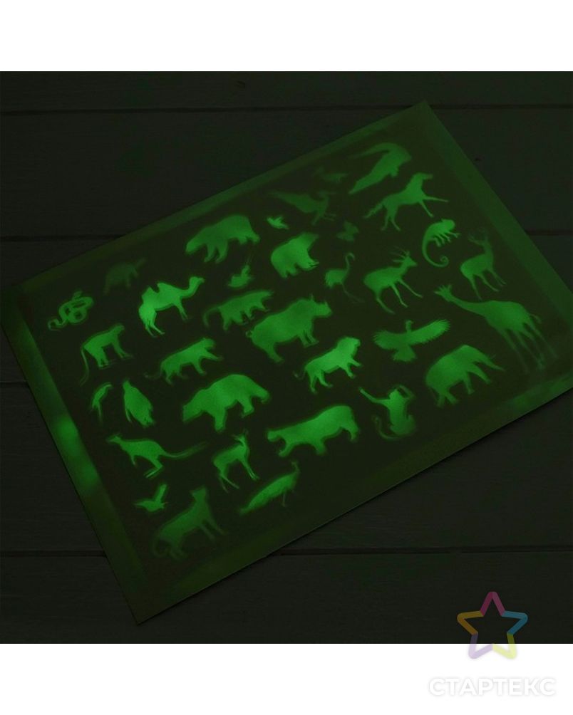 Набор для творчества «Рисунки светом» на магнитной основе, для девочек арт. СМЛ-98910-2-СМЛ0004466735 5