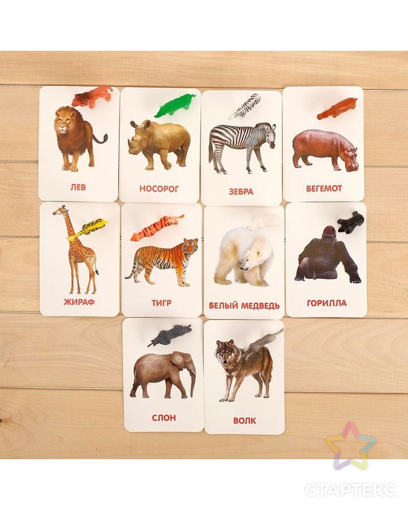 Развивающий набор с карточками «Дикие животные», по методике Домана арт. СМЛ-121480-1-СМЛ0004474172 3