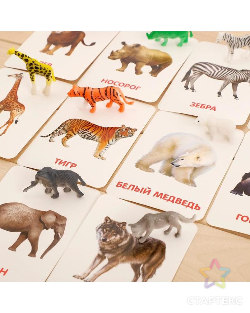 Развивающий набор с карточками «Дикие животные», по методике Домана арт. СМЛ-121480-1-СМЛ0004474172 4