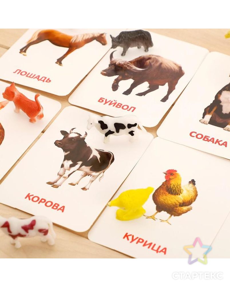 Развивающий набор с карточками «Домашние животные», по методике Домана арт. СМЛ-121481-1-СМЛ0004474173