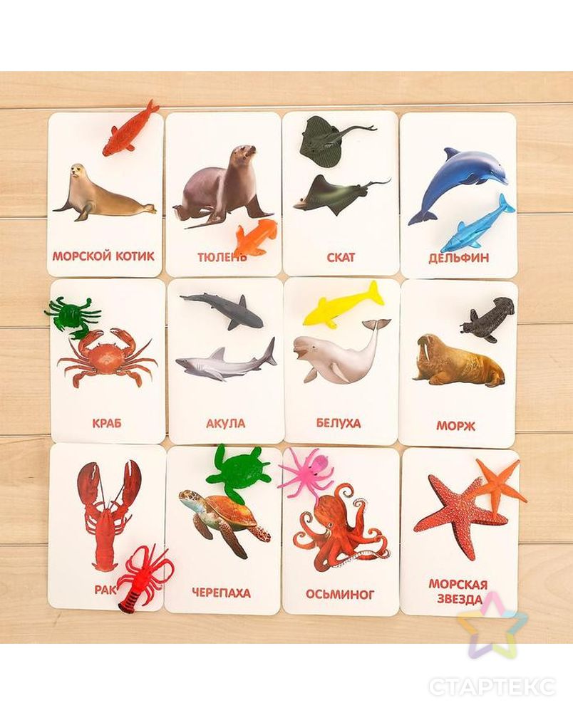 Развивающий набор с карточками «Водные животные», по методике Домана арт. СМЛ-76802-1-СМЛ0004474175 3