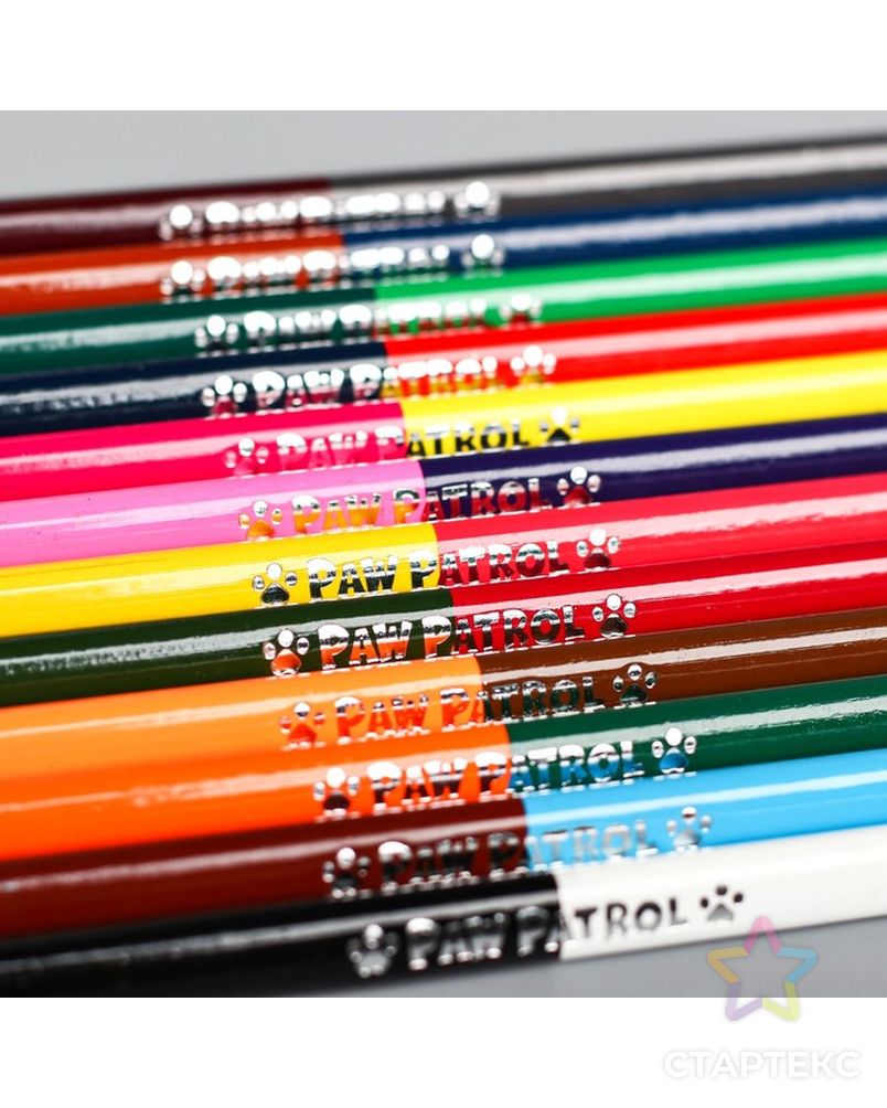 Карандаши цветные 24 цвета, двухсторонние, трёхгранные, PAW PATROL арт. СМЛ-175433-1-СМЛ0004515915 2