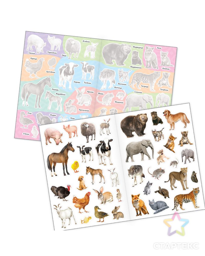 Многоразовые наклейки набор «Такие разные животные», А4, 2 шт. арт. СМЛ-205656-1-СМЛ0004543053 2